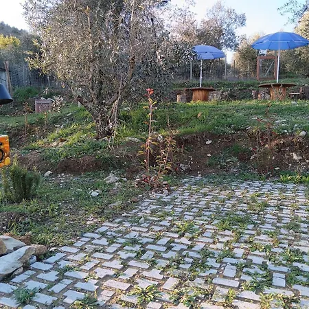Cadabio San Sano