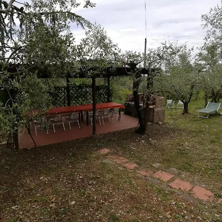 Cadabio