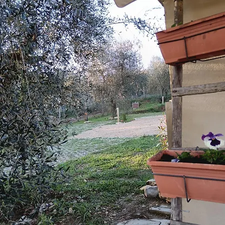 Cadabio * San Sano