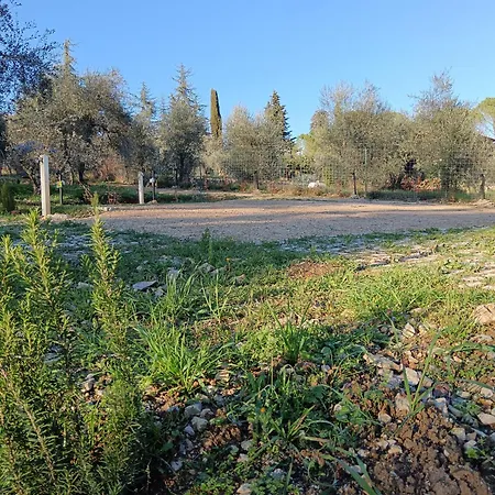 Cadabio Campsite *