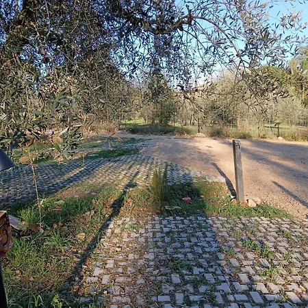 Cadabio Campsite *